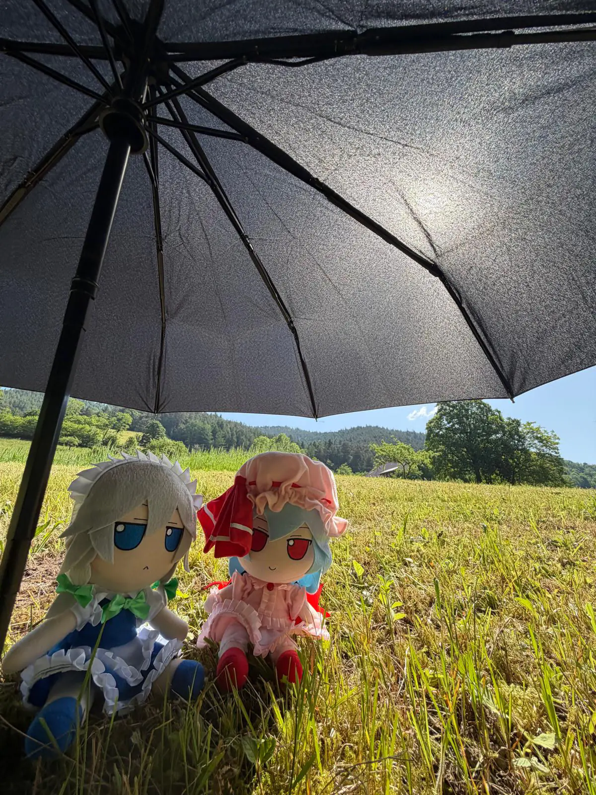Sakuya and Remilia fumos under an umbrella in a meadow